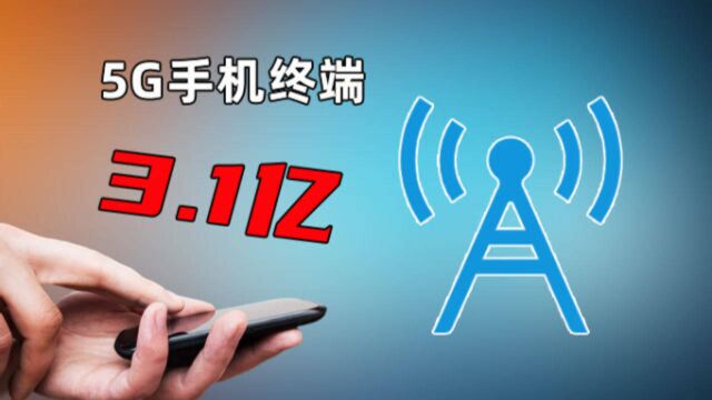 你用上5G了吗?我国5G手机终端达3.1亿 占全球比例超80%