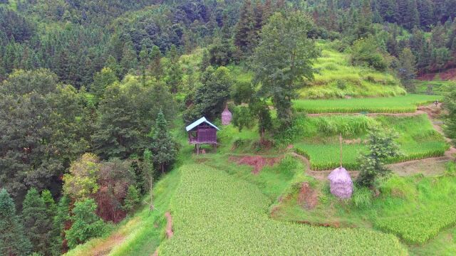 贵州大山独特的景色,一间小屋,一片农田,在这生活太美了