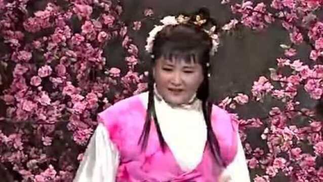 贾玲金星欧弟狄志杰精彩演绎爆笑小品《侠女英雄传》