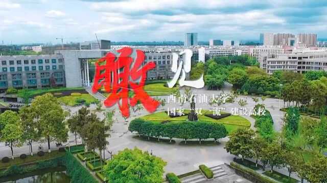 西南石油大学招生宣传片:《瞰见》,高考加油,祝学有所成!