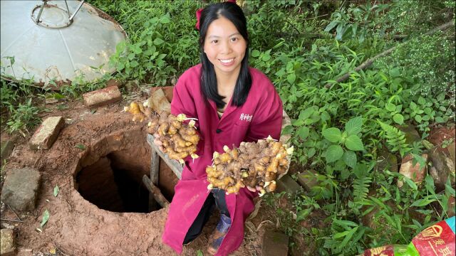 小秀去地窖拿生姜,好看大块小黄姜,你喜欢吗?