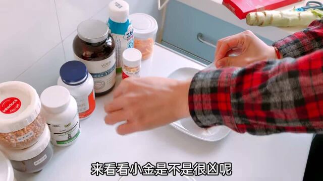 天天喂生肉,狗能不变凶吗?今天用牛肉测试下