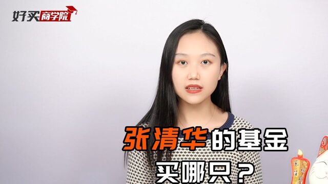 张清华的代表基金有好多,如果选一只,买哪个?