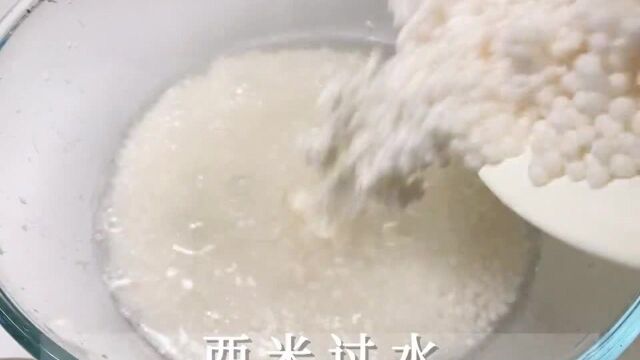 黄小厨美食创作人神奇粽子图鉴在家做美食