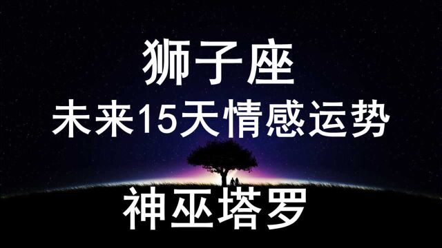 神巫塔罗:狮子座未来15天感情运势,认真去观察,学会释放自己