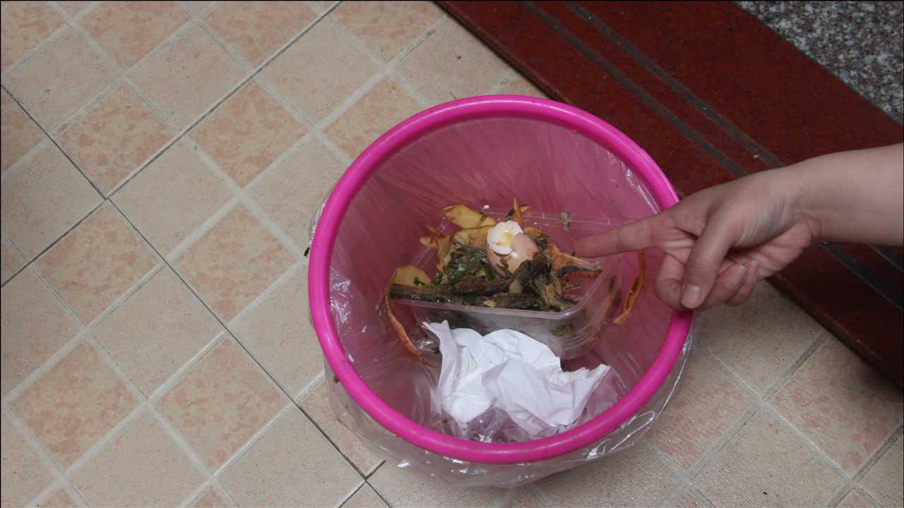 家里垃圾桶一天不换就有小虫子教你一招几天不换都不怕