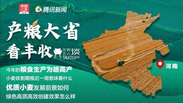 全国小麦产量第一大省又获丰收,河南省农业农村厅副厅长王俊忠揭秘高产绿色优质小麦的秘密