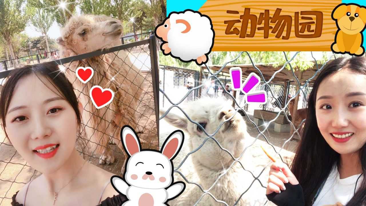 爱探游的魔力家族 1集