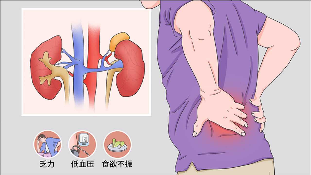 肾衰竭是拖出来的,有效治疗,才能避免肾衰竭偷袭