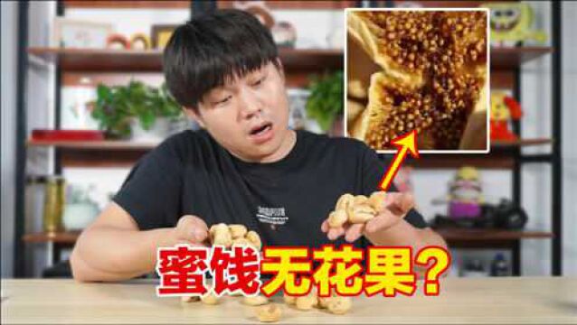 试吃天然蜜饯无花果,29.9买了一斤,真的那么甜吗?