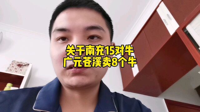 广元苍溪8个母牛寻找新主人,你们觉得什么价拿下合适