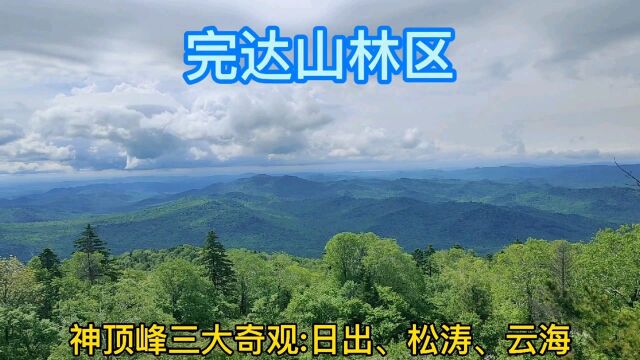 神顶峰是祖国最早看日出的地方,完达山林区尽收眼底非常壮观