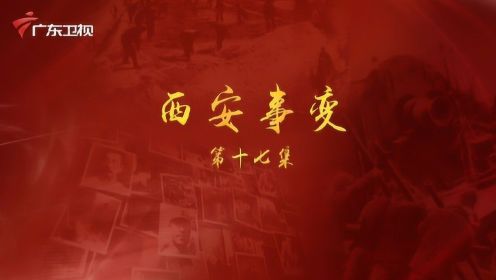 《百年奋斗为人民》第十七集：西安事变