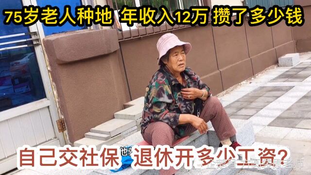 沈阳75岁老人种地年收入12万,自己交社保,退休工资多少?