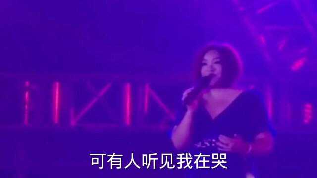 《白狐》演唱:陈瑞.现场版