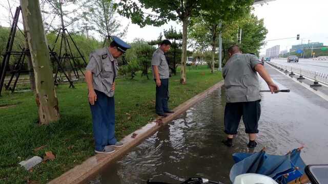 一夜大雨后,山东滨州大马路变身鱼塘,市民成盆往家捞鱼收获满满