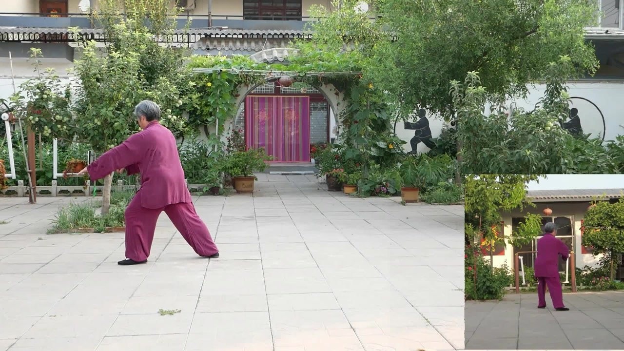 河北省非物质遗产杨氏太极拳代表性传承人韩清民先生讲解太极拳发展史和演示传统八十五式杨氏太极拳_高清1080P在线观看平台_腾讯视频