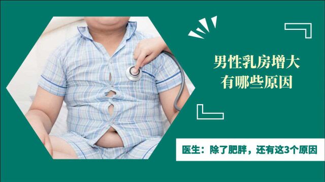 导致男性乳房增大有哪些原因?医生:除了肥胖,还有这3个原因