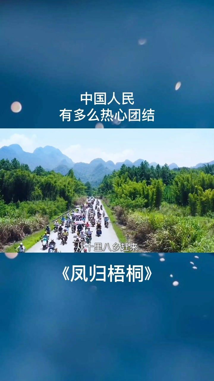 中国人民有多么的热心团结凤归梧桐影视