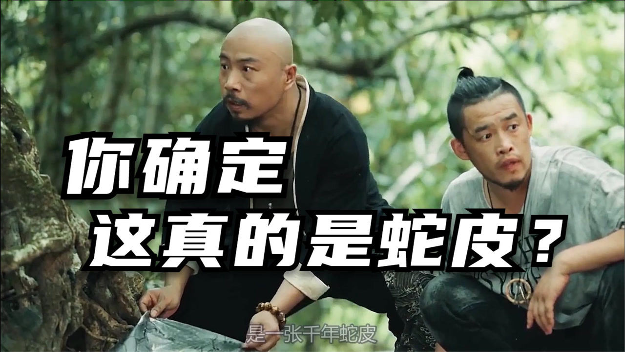 蛇王2021山中大蛇王能分清善恶只吃偷猎者