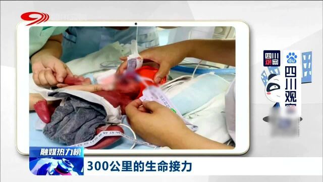 给力!早产男婴急需输入营养液,医院300公里生命接力!