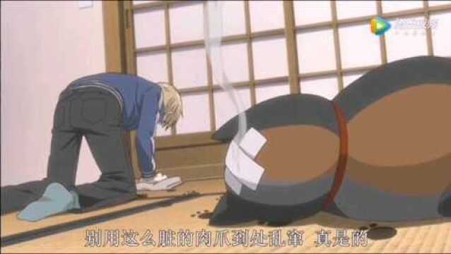 #夏目友人帐 第二季第一集 胖乎乎的黑白猫咪老师