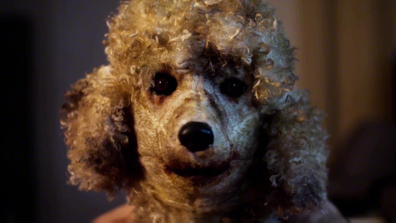 恐怖短片《狗头人》看完你还想养狗吗?