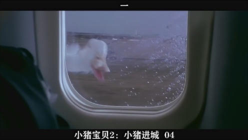 小猪宝贝2：小猪进城——04, 好笑 一只狂追飞机的鸭子..