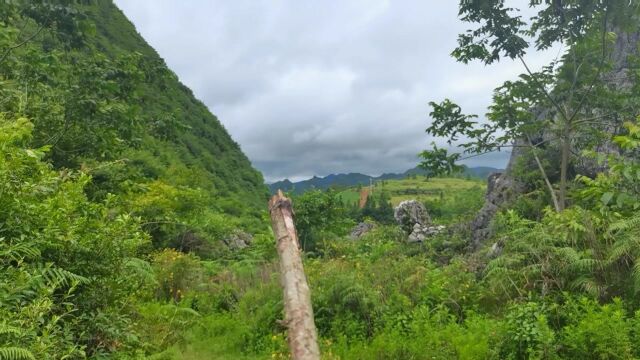 山河风水云南考察地形,此山高处有结穴低处是虚花,怎么辨别