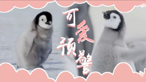 企鹅家族_《企鹅家族》勇敢鹅鹅，不怕困难，奥力给！_腾讯视频