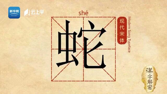 汉字解密ⷥ二生肖:蛇