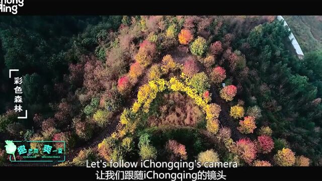 走进重庆巴南生态乡村,畅享轻松一“夏”