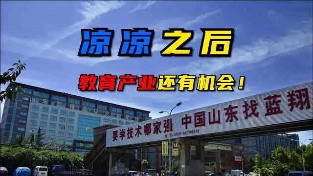 教培行业股价大跳水 这家“新东方”竟然逆势上涨?