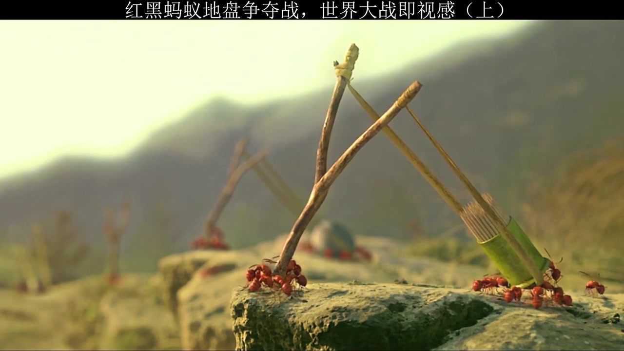 蚂蚁大战(上集)