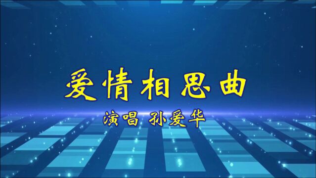 孙爱华《爱情相思曲》缘分让我们相遇,今生爱恋你是唯一,超好听