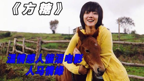 一匹赛马用生命守护它的主人，韩国温情感人电影《方糖》