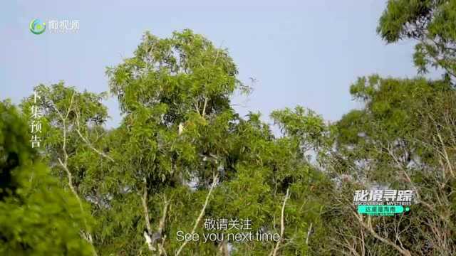 《秘境寻踪》第二季第二集:远方来客