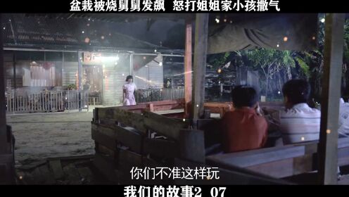 我们的故事2-07，盆栽被烧舅舅发飙  怒打姐姐家小孩撒气