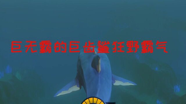 海底大猎杀:巨无霸的海洋巨齿鲨,庞然大物的海洋鲨鱼?