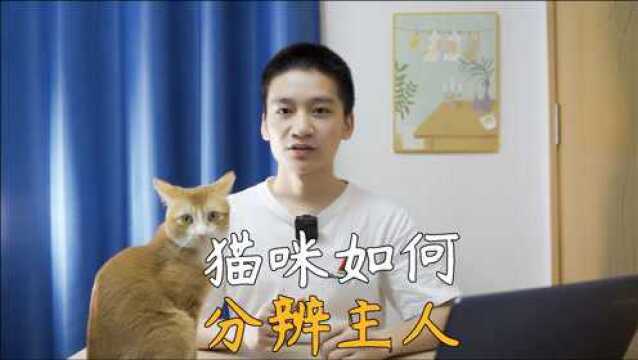 想知道猫咪是怎么分辨出主人的吗?