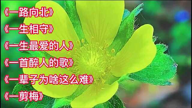 几首好听的歌曲