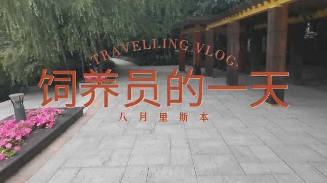 饲养员的一天,快乐的米虫