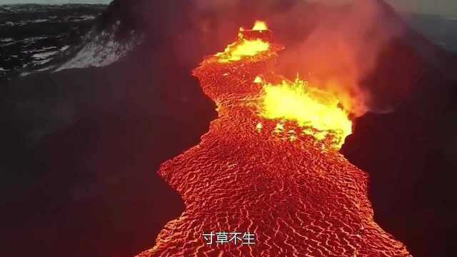 特种消防靴能否抵御1200℃高温岩浆?老外作死亲测,结果太刺激了!