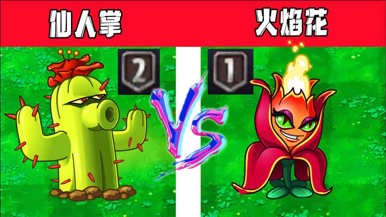 植物大战僵尸二阶仙人掌vs一阶火焰花表哥给出顶级理解回答