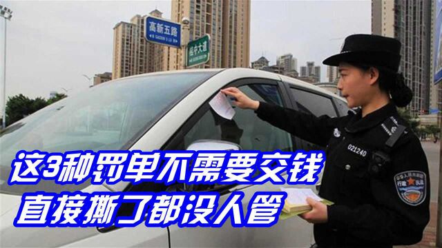 交警提醒:这3种罚单不需要交钱?直接撕了就可以?新手快看看