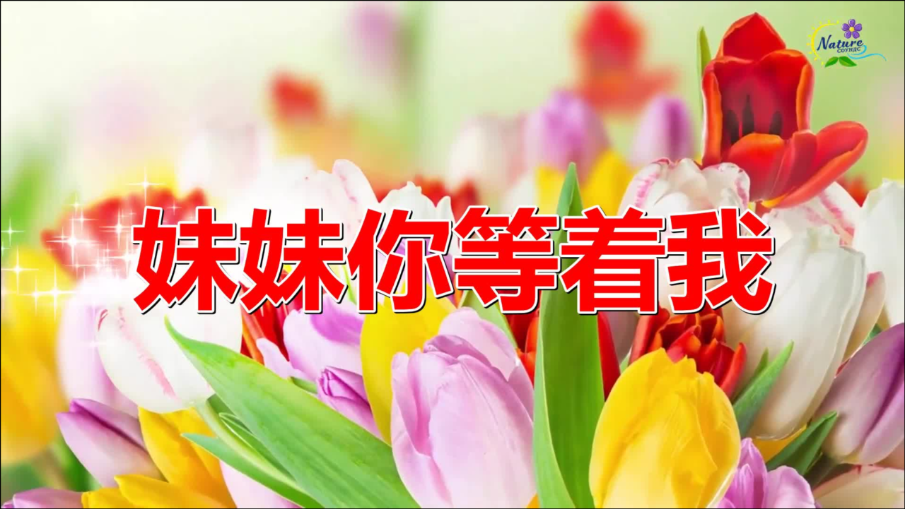 妹妹你等着我dj何鹏版经典老歌就是不一样