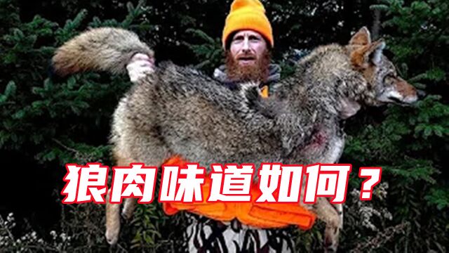 荒野猎人捕获一头野狼,今天做一顿狼肉盖浇饭怎样,大家想吃吗?