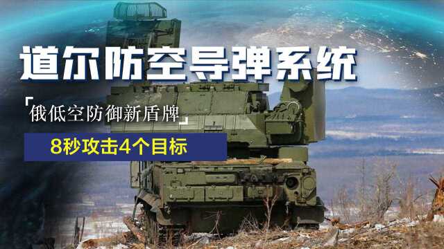 俄罗斯道尔防空导弹系统,9秒击落千万战机,8秒可以攻击4个目标 #知识ˆ’知识抢先知#