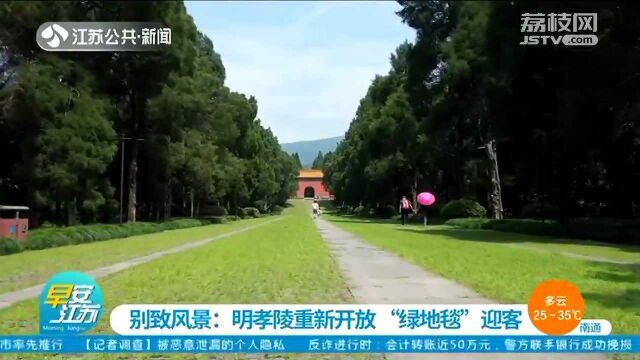 别致风景:明孝陵重新开放 “绿地毯”出门迎客!