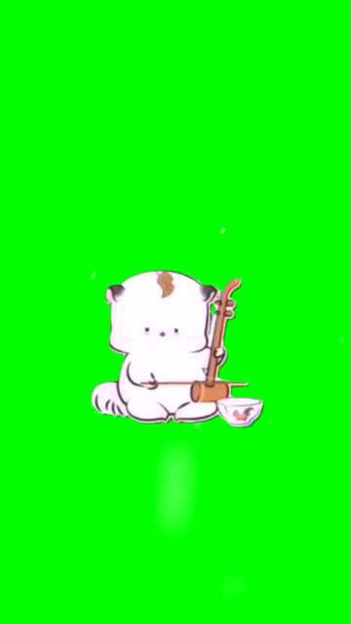 拉二胡的小白猫小白猫拉二胡动画绿幕素材丐猫二胡猫拉二胡卡通图猫拉